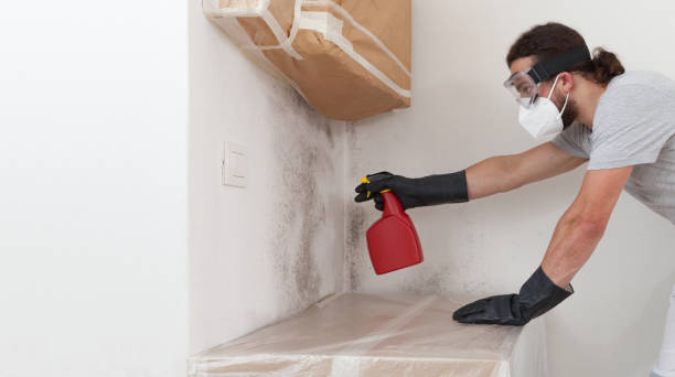 Professional Black Mold Removal technician working in Portage, MI