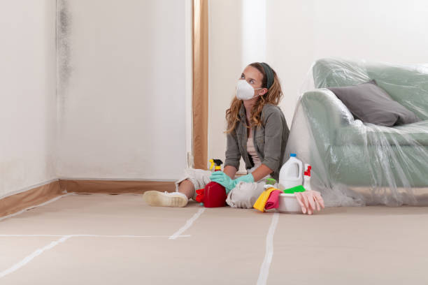 Reliable Black Mold Removal contractor in Portage, MI by WQB Mold Removal